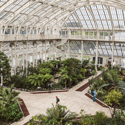 Visit Richmond's lush and beautiful Royal Botanic Gardens