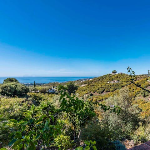Gaze out over the verdant hills to the sea from the terrace