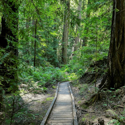 Visit the C S Lewis Nature Reserve just around the corner