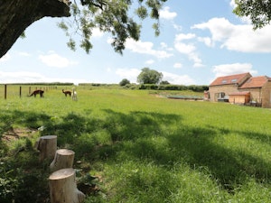 Fields of Wonder image 10