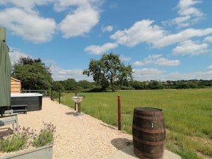 Fields of Wonder image 3