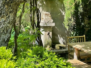 Provence Sunshine image 13