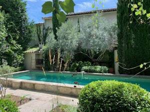 Provence Sunshine image 10
