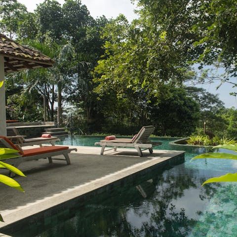 Watch monkeys play in the trees from your poolside perch