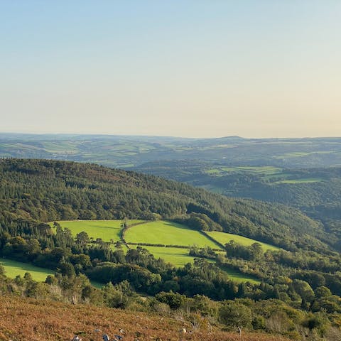 Take a day trip to Dartmoor National Park, just a twenty-eight-minute drive away