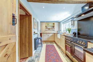 The Peacock Feather image 4