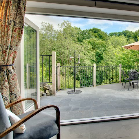 Slide open the bi-fold doors and watch birds landing on the bird feeder
