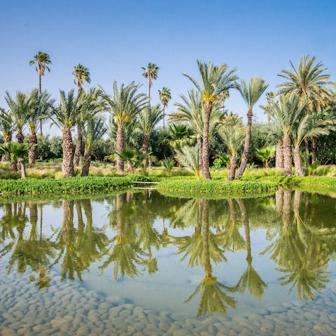 Take a stroll around your home's palm-fringed lake