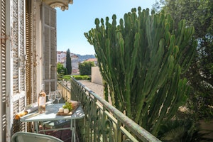 Cannes Moment image 6