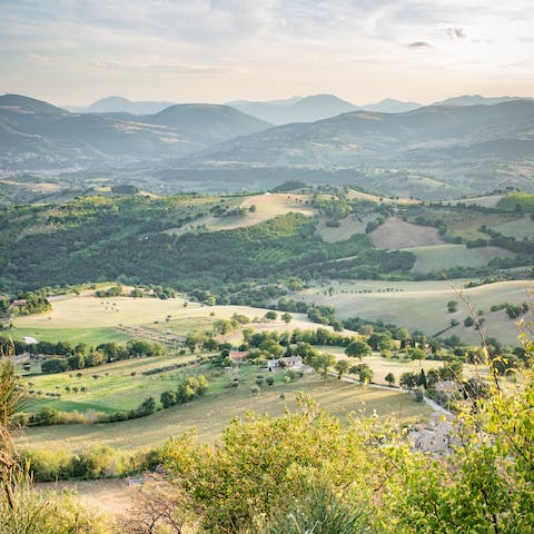 Explore the gorgeous hills of Marche