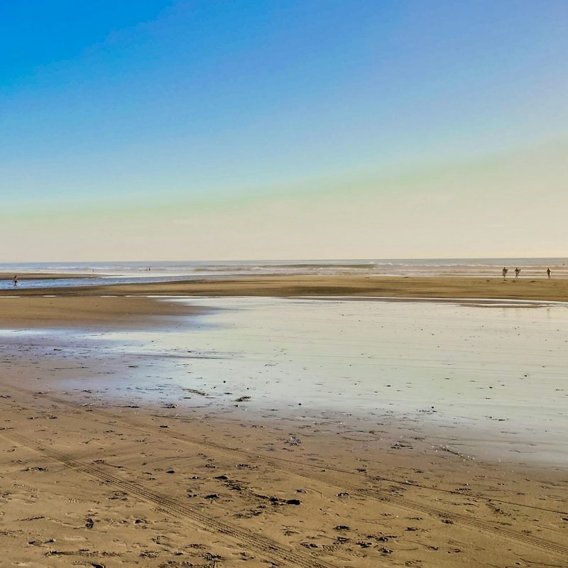 Walk ten minutes to the beautiful sandy and surf-friendly San Elijo State Beach