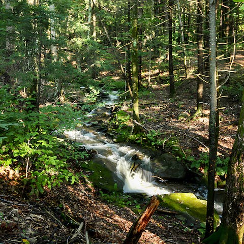 Go for a stroll through the grounds to the pretty creek