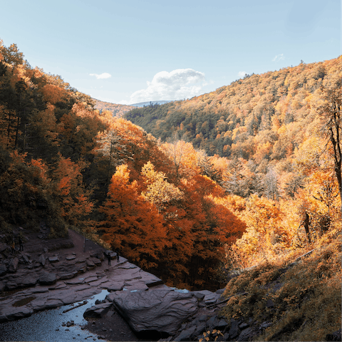 Explore the Catskills, including Hunter Mountain, a thirty-minute drive away