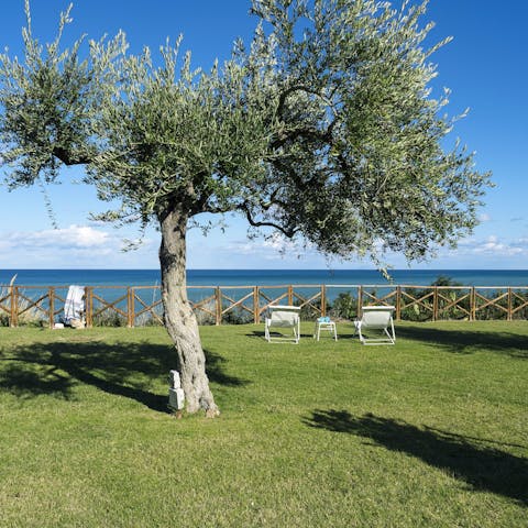 Take in scenic views of the Mediterranean Sea from the huge garden