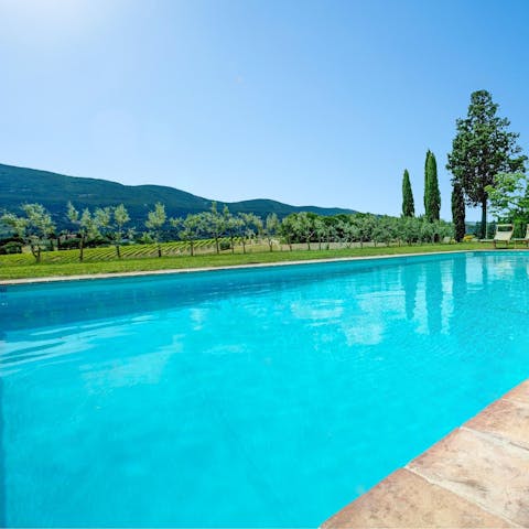 Enjoy a view of the vineyards from the private swimming pool