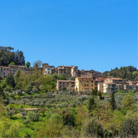 Grab lunch in the hilltop village of Cetona, only a short drive away