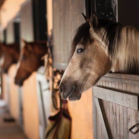 Enjoy a hack in the countryside – the riding stables are ten minutes away