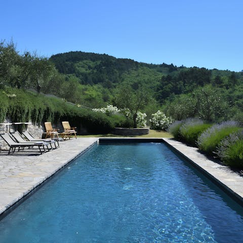 Relax by the pool as the scent of lavender drifts through the warm air