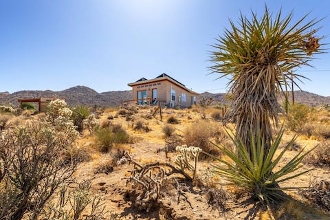 Take an invigorating hike through the desert wilderness