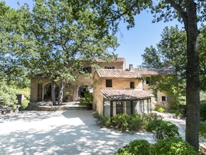 Bonnieux Blooms image 11
