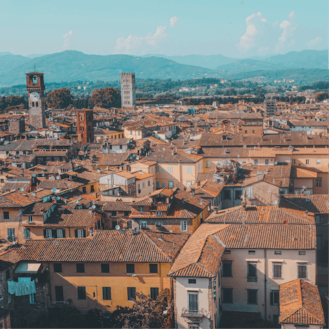 Discover Lucca's many piazzas, historical statues, elegant galleries, upscale boutiques, and local restaurants