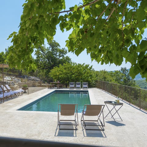 Have a swim in the pool with splendid vineyard views