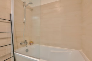 Premier Jewel image 2