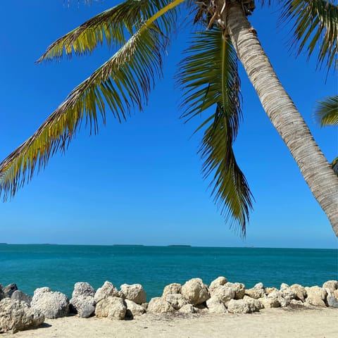 Visit the stunning palm-lined beaches of Key West, just a short walk from your accommodation
