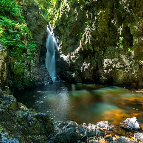 Swim in the waters of a sixty foot waterfall at Stanley Ghyll, a twenty-minute drive away 