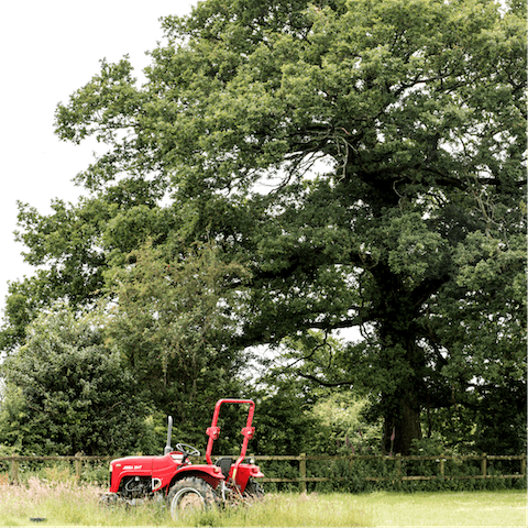 Roam the surrounding countryside – there's a nature reserve just a few minutes away