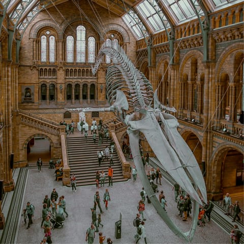 Make a trip to the Natural History Museum, only minutes away