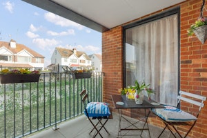 Seaward Way image 4