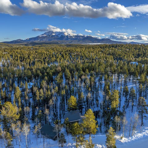 Discover the majestic beauty of the Colorado Mountains