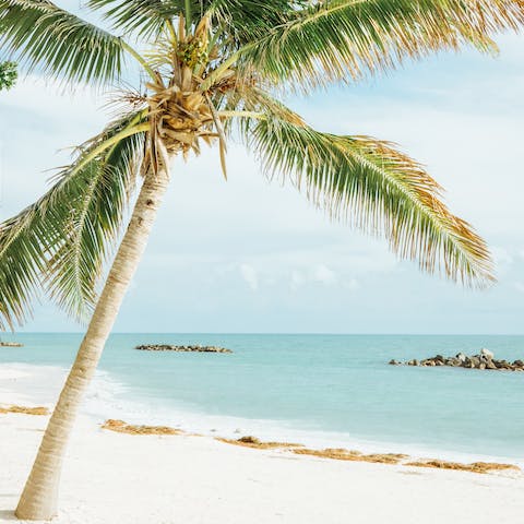 Take your pick of beautiful beaches on Key West island