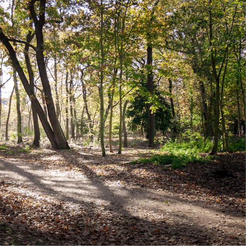 Escape to the thick forests of the Bois de Boulogne, just a twenty-minute walk from home