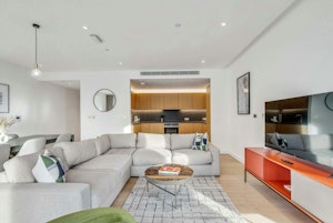 Central Scene image 12