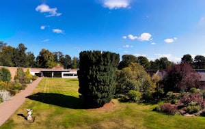 The Laird's Garden image 10