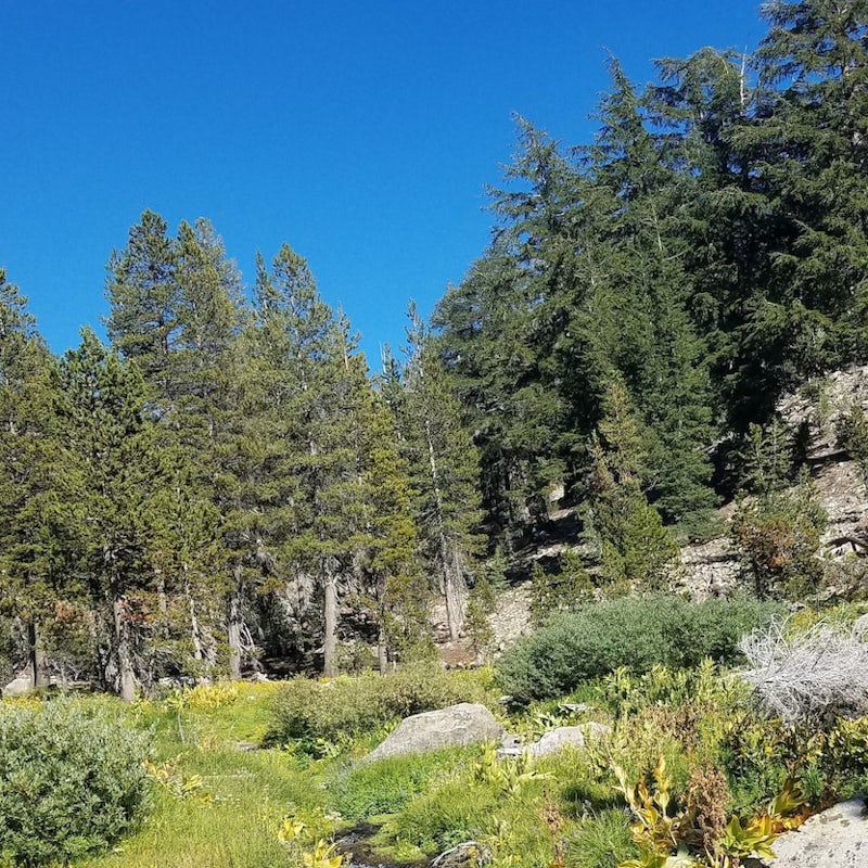 Take a glorious hike in the summer months