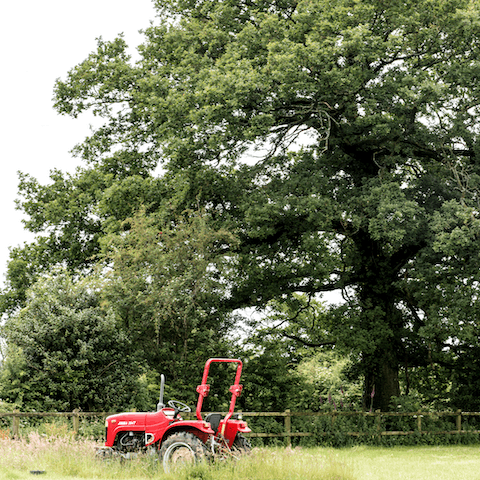 Head outdoors for a countryside stroll surrounded by luscious greenery