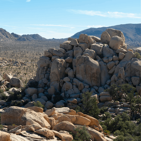 Less than fifteen minutes from the entrance to Joshua Tree National Park