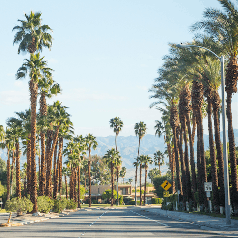 Make the most the great Palm Springs location