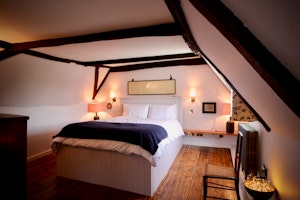 Tudor Grace image 13