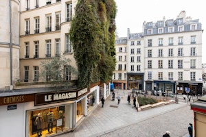 Sentier Steps image 2