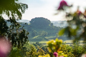 Peak Views image 5