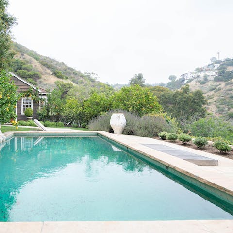 Take a dip in the gorgeous pool surrounded the lush greenery of the garden 