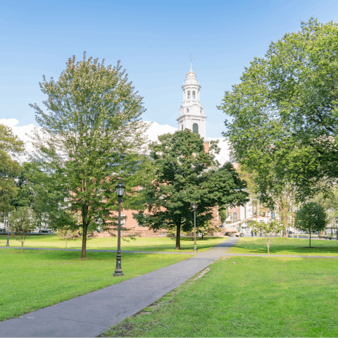 Take a road trip to New Haven and explore Yale University