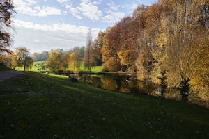Manor by the Lake image 8