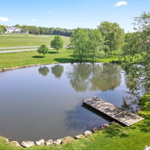 Picnic by the pond on the estate, only a short stroll away from the house