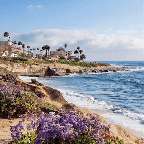 Walk over to La Jolla Village to enjoy its many restaurants and boutiques 
