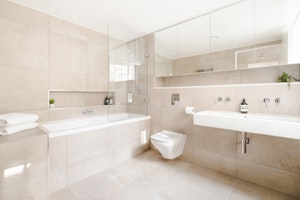 Marylebone's Shine image 12